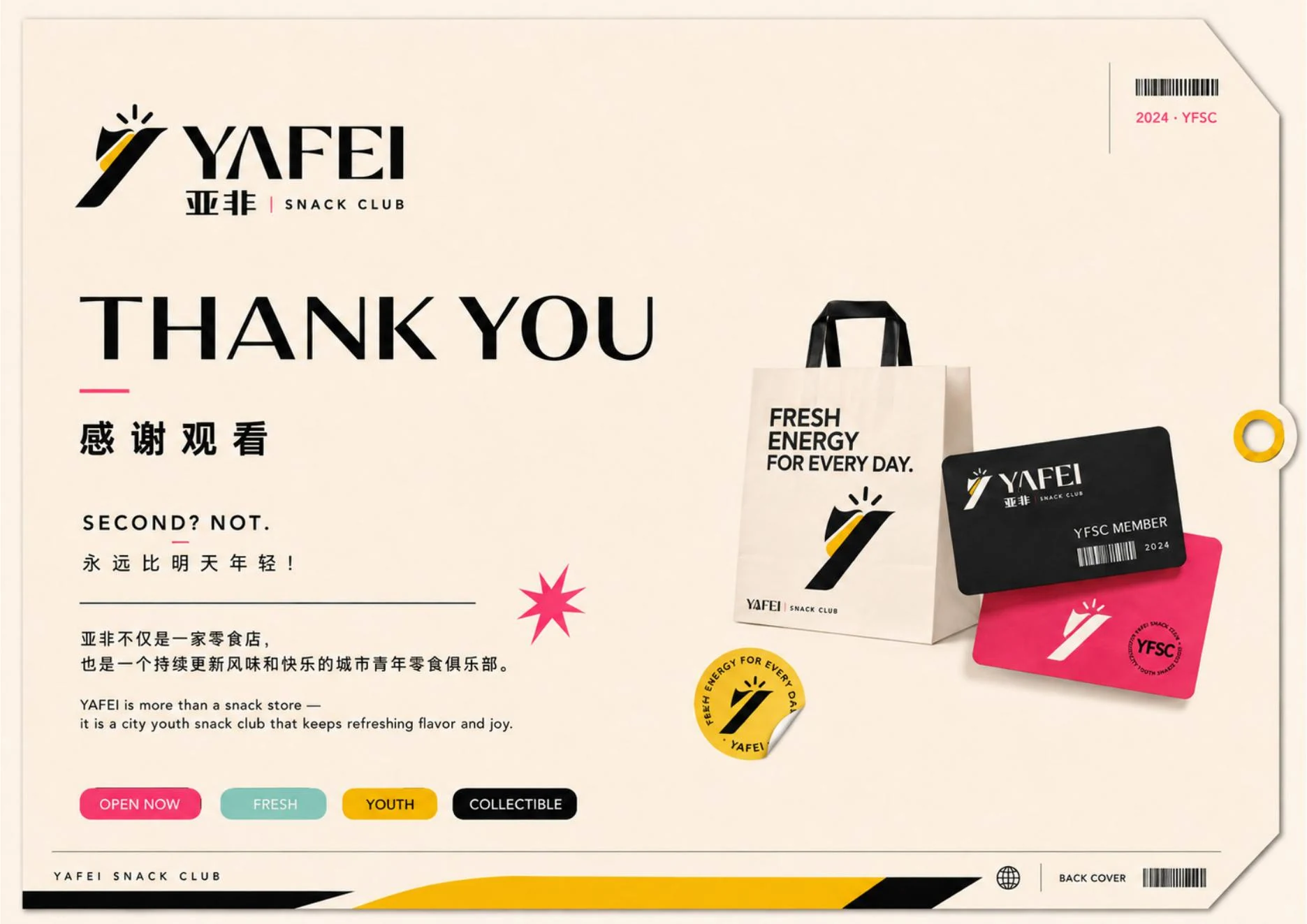 YAFEI 项目结尾